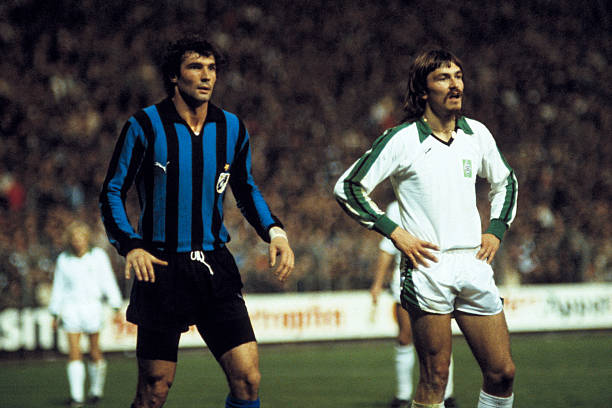 纷纷通过引 纷纷通过引